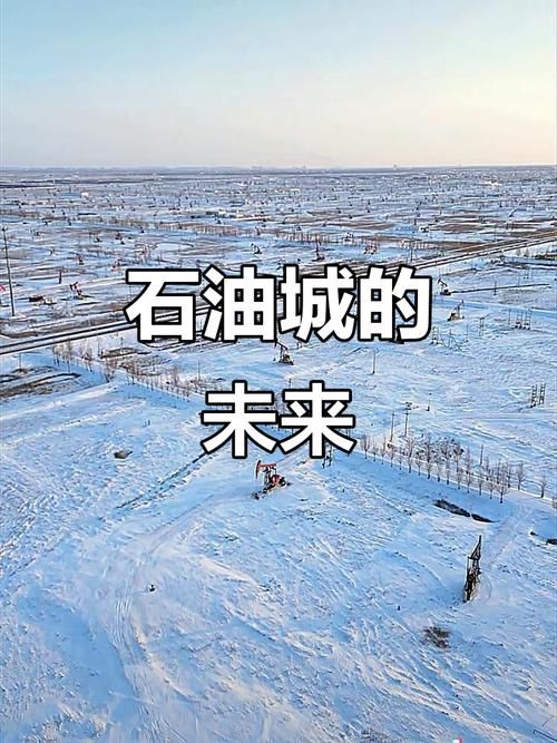 【大庆：石油城防疫的交通枢纽之困】