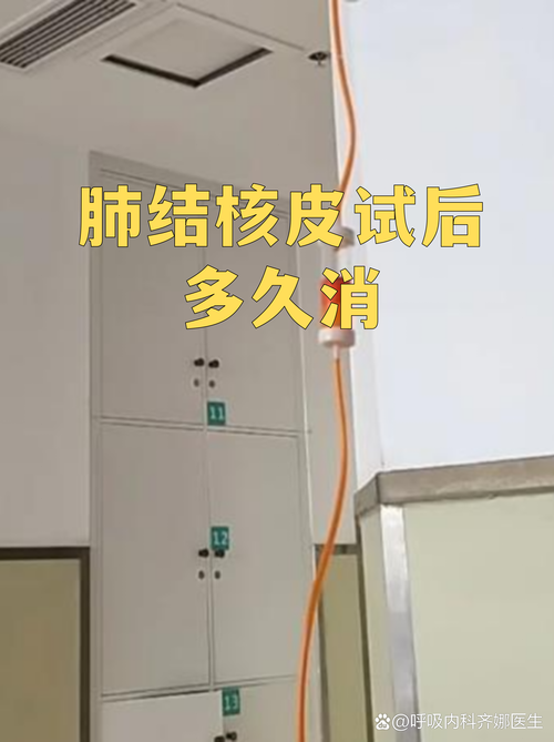 铅山突发疫情：武夷山北麓的县域防控压力测试