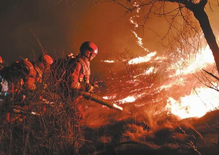 牡丹区：鲁西南平原腹地的疫情防线与破防时刻
