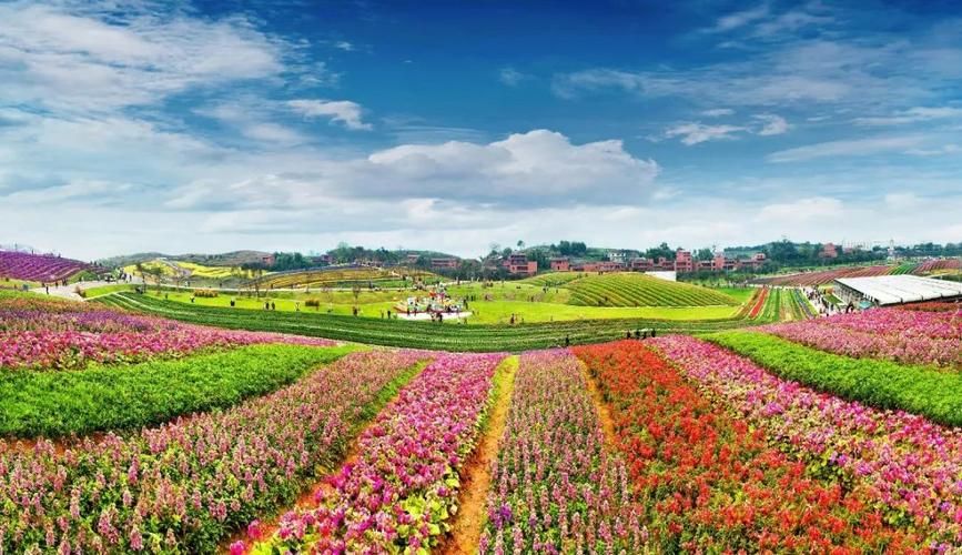 芜湖县：长江之畔的防疫攻坚与地理屏障考验