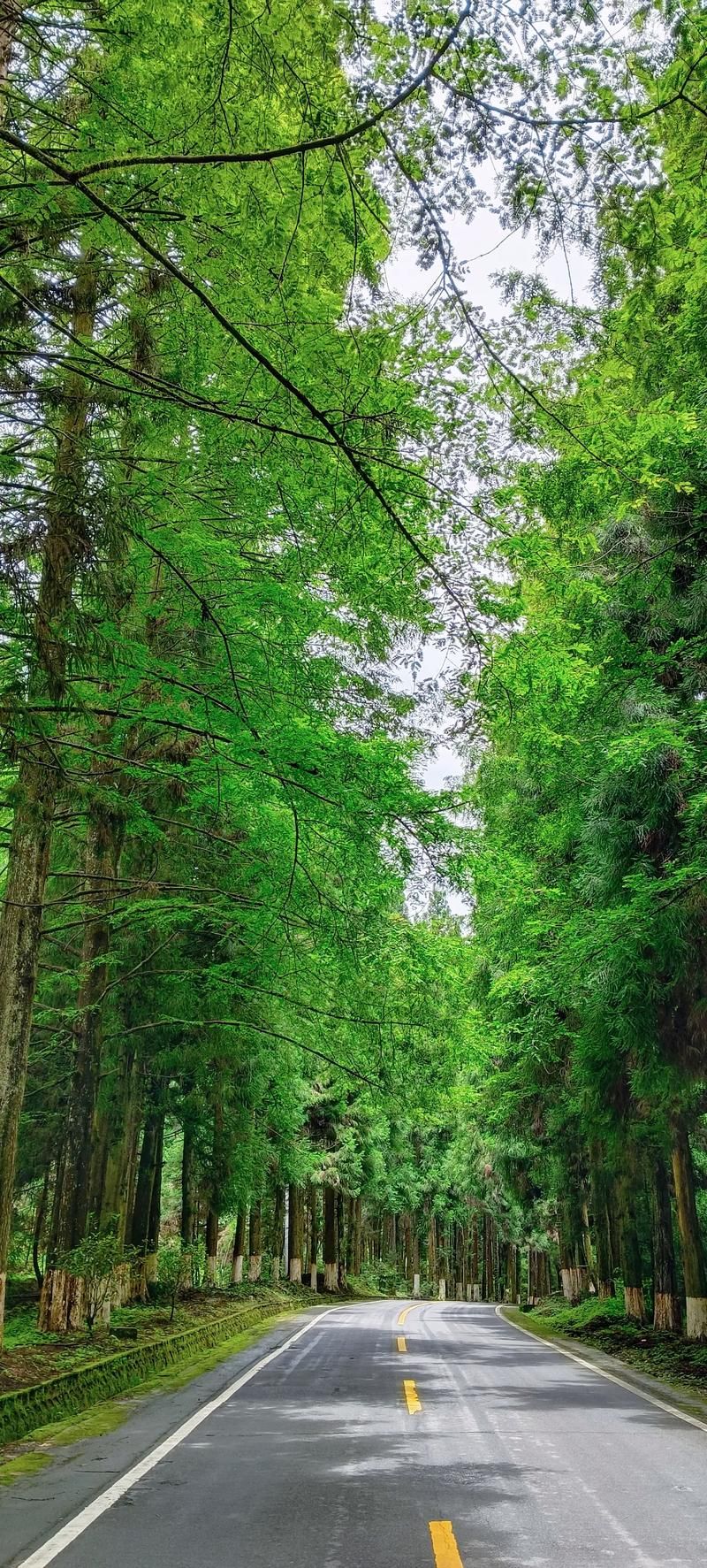 保靖县：武陵山腹地的零感染坚守之谜