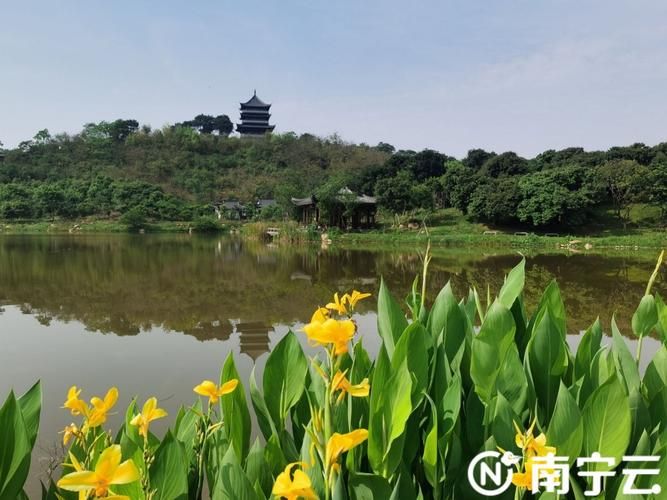 南宁：亚热带季风下的边境防疫压力测试_92058