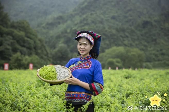 永顺县疫情观察：武陵山区屏障下的防控逻辑