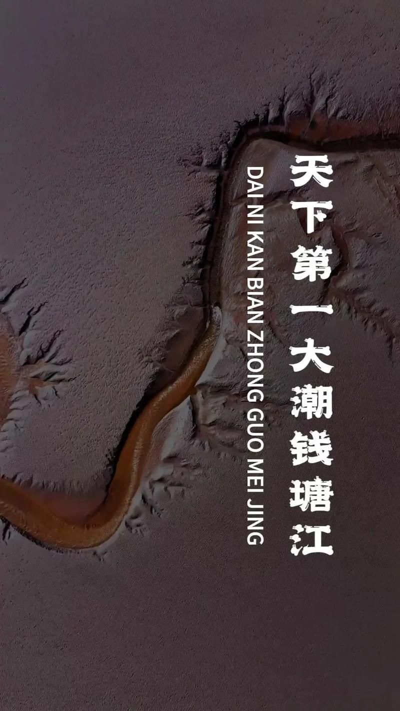 【海宁：钱塘潮涌下的防控压力与社区韧性】
