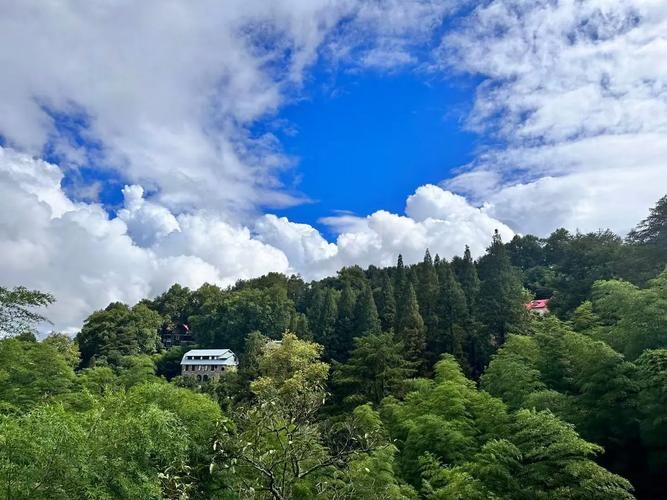 德清：莫干山麓的零感染样本与物理防线逻辑