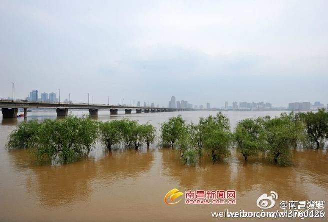 新建区疫情观察：赣江之畔的防控压力与地理屏障