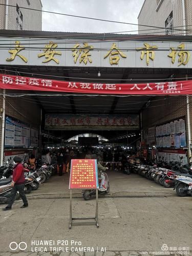大安：内陆交通枢纽的疫情破防与地理屏障失效