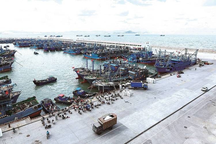 吴川江海交汇处的防疫破口：沿海渔港的隐匿传播链