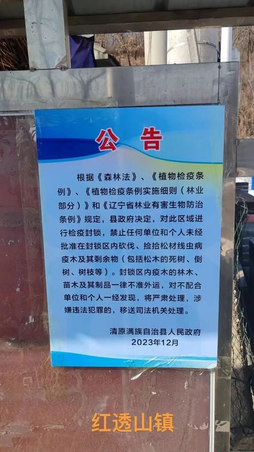 清原：辽东林海屏障下的县域防疫样本