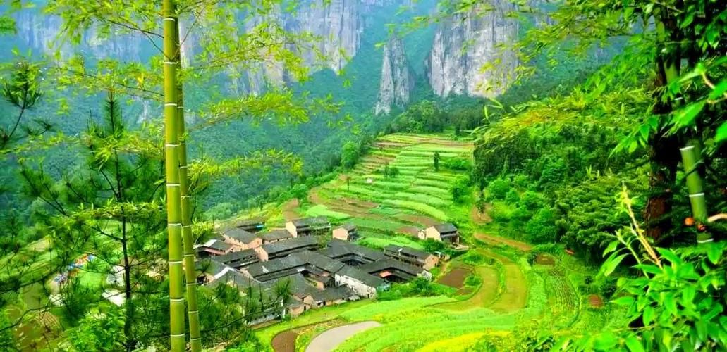 【仙居：群山环抱下的低感染率样本】