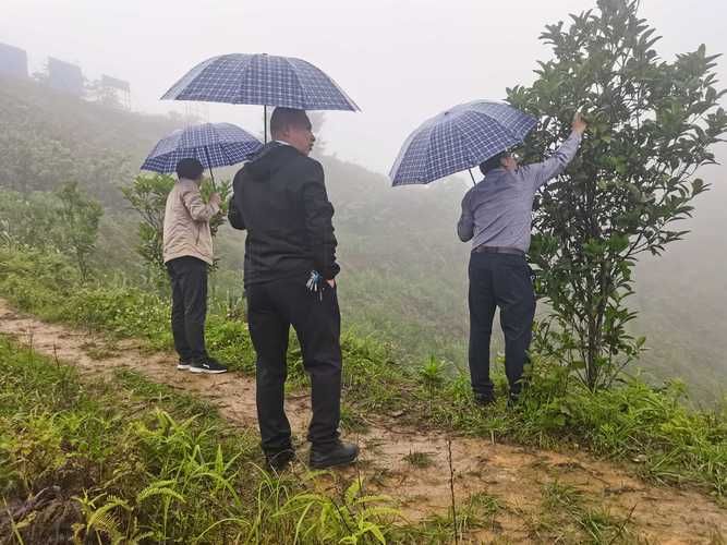 德保新增1例无症状感染者  德保县疫情防控最新通报_68546