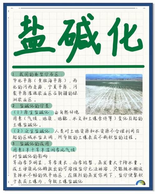 盐源：高原屏障下的零感染坚守与防控逻辑