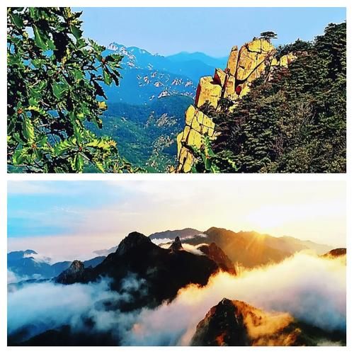 沂蒙山区防疫观察：革命老区如何构筑疫情防线