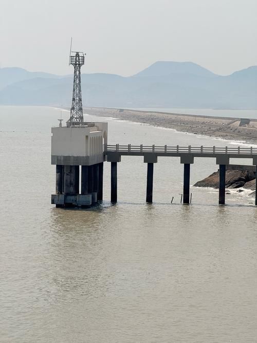 宝山区疫情溯源：长江入海口枢纽的防控压力测试