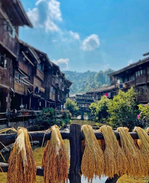 【黎平侗乡：黔东南山峦屏障下的零感染坚守】