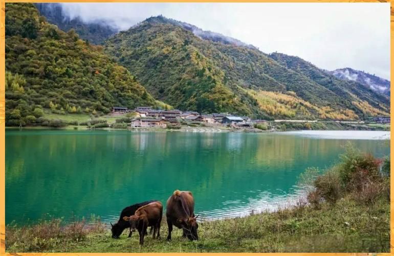平武县：川北山区的零感染记录与地理屏障解析