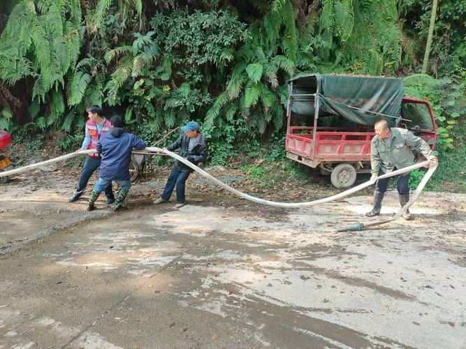 绥阳：黔北山坳间的零感染坚守与物理防线