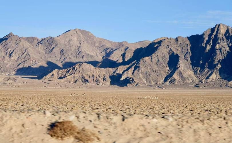 阿坝高原屏障下的零感染愿景：地理优势如何构筑防疫堡垒？