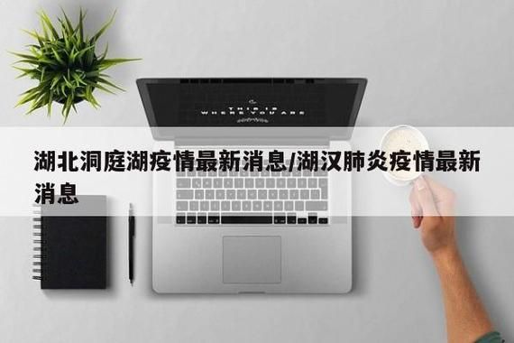 洞庭湖城防疫记：江湖枢纽的疫情承压与精准布防