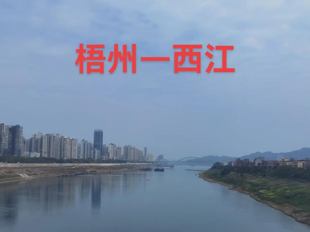 梧州：西江咽喉的防疫坚守与破防时刻