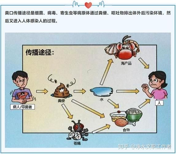 斗门水网交织下的防疫破口：一例输入引发的社区传播链