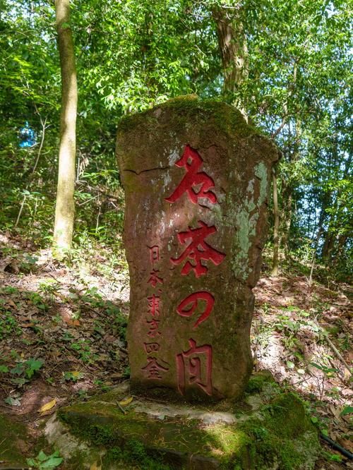 安化茶乡的静默防线：山峦叠嶂下的零感染坚守