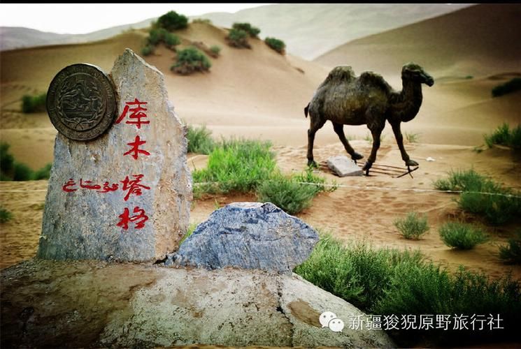 热点科普 第34页