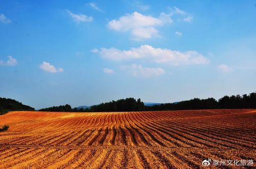 滁州：江淮走廊下的疫情破防与地理围城