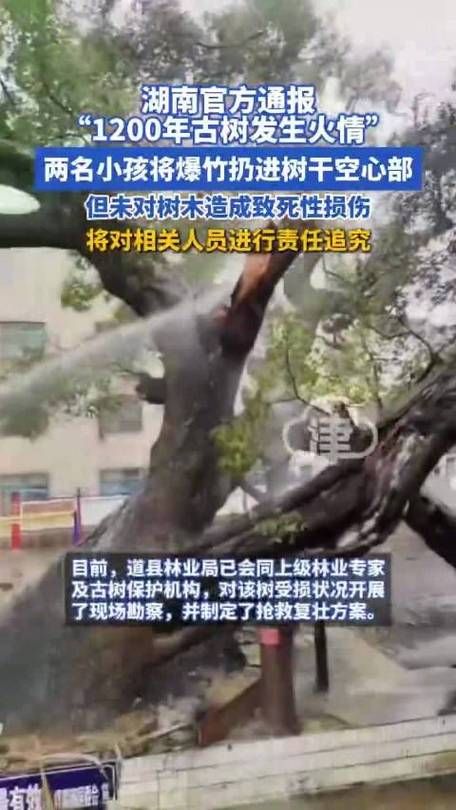 百科快讯 第25页