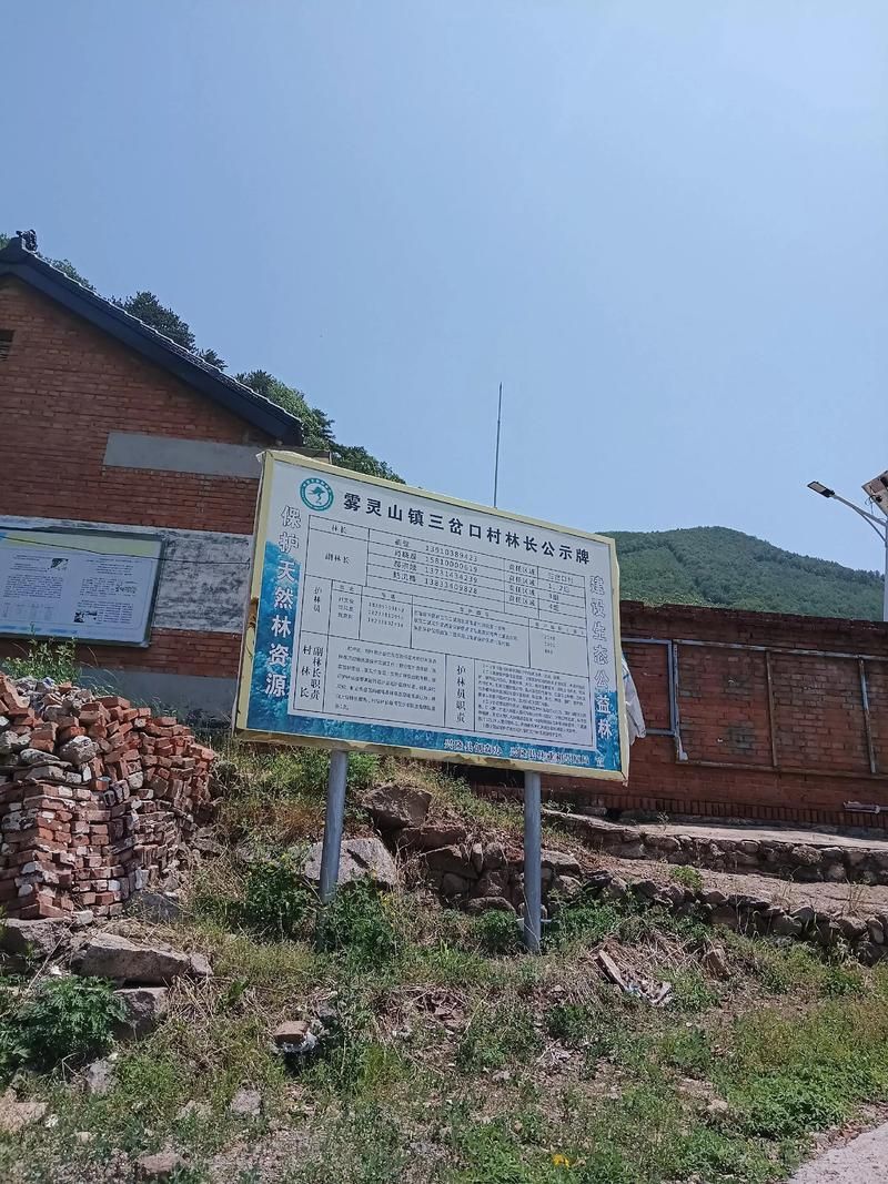 茶乡防疫：安溪县低海拔丘陵区的疫情阻隔逻辑_72400