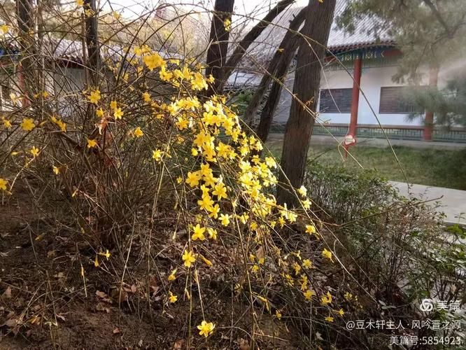 曲沃古城墙下的静默：晋南小城的防疫地理学