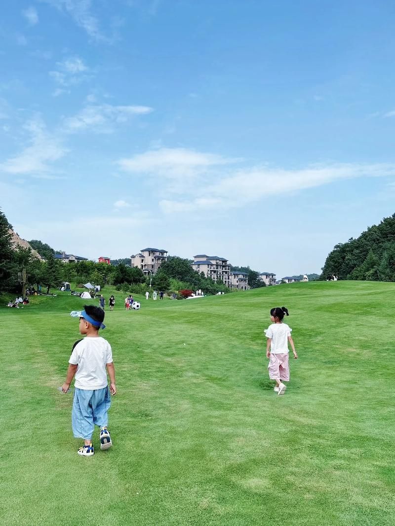 栾川：伏牛山腹地的零感染坚守与物理防线_91564