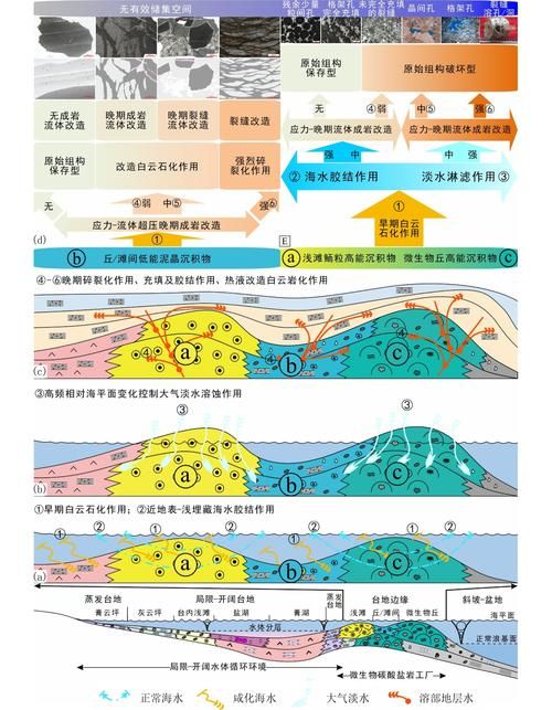 汉源县：四川盆地边缘的零感染样本与地理屏障解析