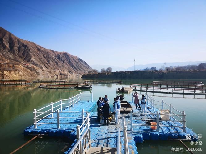 青海东部门户的防疫压力：民和县如何应对输入性风险？