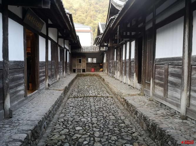 上杭：闽西山区屏障下的低感染样本解析