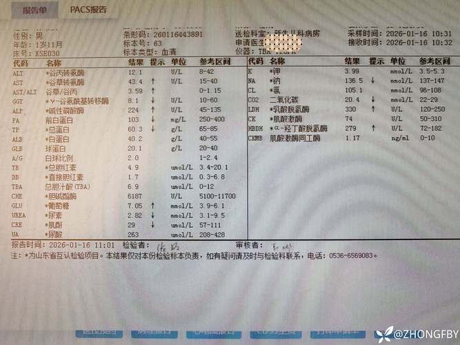 科普快讯 第9页