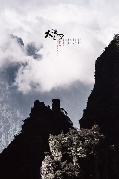 金秀零感染之谜：大瑶山屏障下的防疫样本