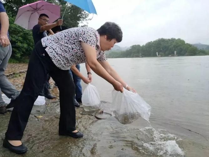 莲都区：瓯江流域的防疫挑战与地理屏障